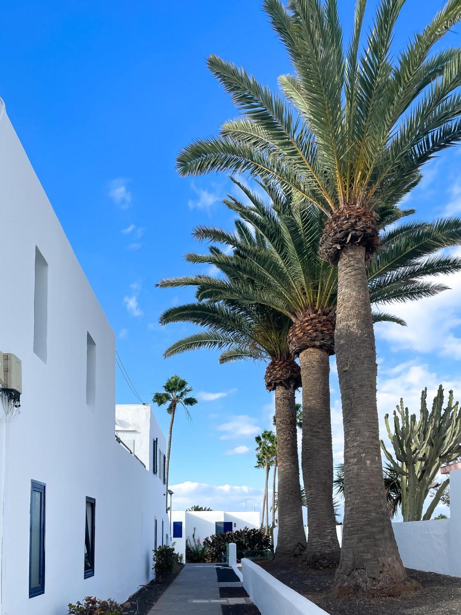 Barqueros Beach By Best Holidays Fuerteventura Corralejo Luaran gambar